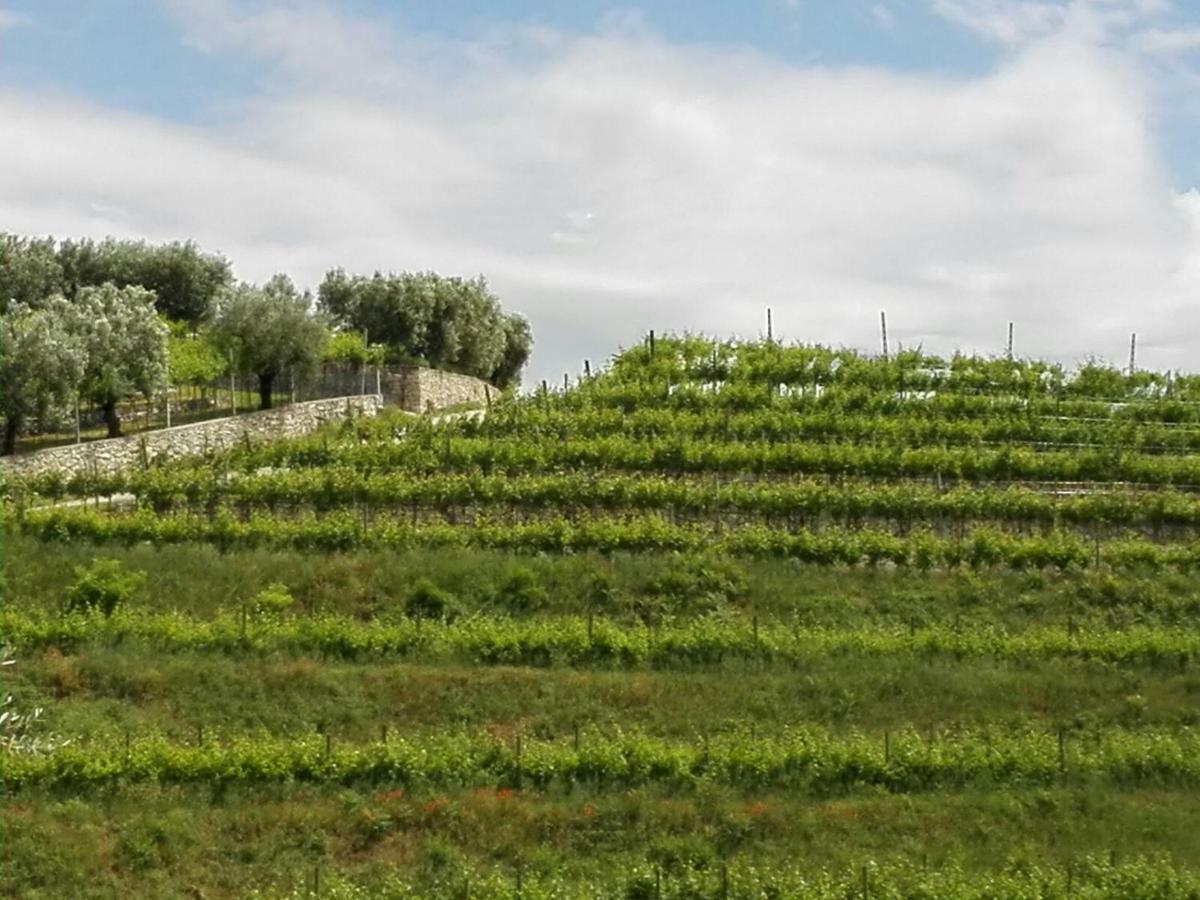 B&B Corte Giare Sant'Ambrogio di Valpolicella Luaran gambar